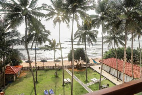 The Blue Beach (The Blue Beach ) in Vaduva