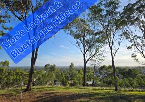 Surrounding environment, Bluetongue Hideout in Liverpool