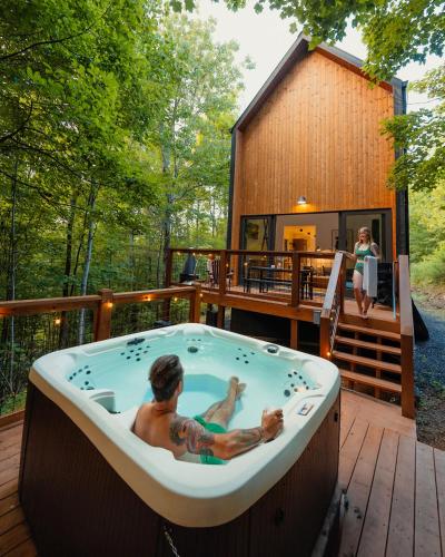 Nordic Haus - Luxury Wears Valley - Hot Tub - 5mins to GSMNPark in Sevierville, USA