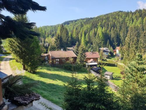 Alm`Ferienhaus Gaisegg in Klippitztorl