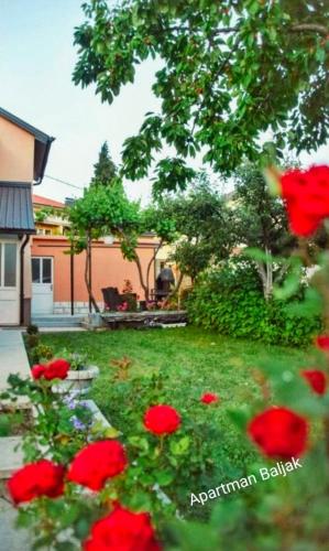 Apartmani Baljak - image 12