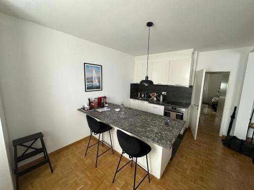 Magnificent apartment, Geneva Center, Geneva Lake, Genewa (zdjęcie 8)