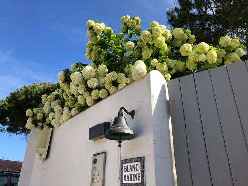 Elloha chambre d'hôte La Maison-Rouge