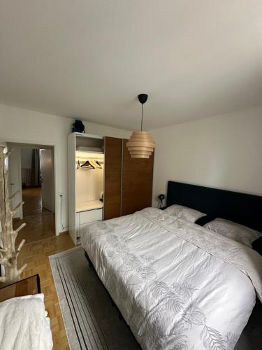 Magnificent apartment, Geneva Center, Geneva Lake, Genewa (zdjęcie 7)