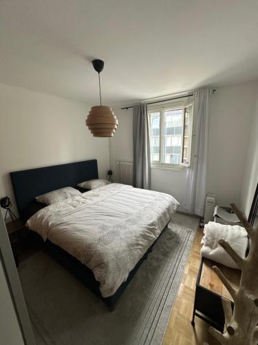 Magnificent apartment, Geneva Center, Geneva Lake, Genewa (zdjęcie 6)