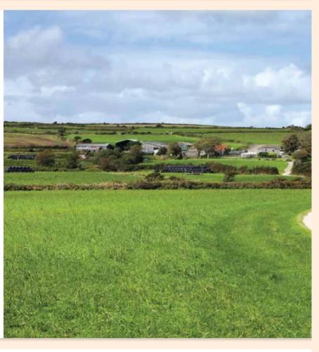 A környék, The Dairy in Troon