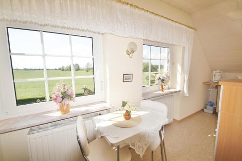 Müller 4 (Muller 4) in Dahme