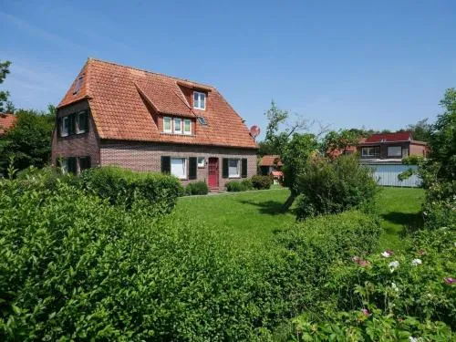 Apart Zwergmöwe in Butjadingen, Deutschland