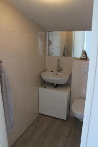 Casa Ostrea Casa Ostrea