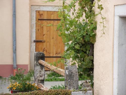 Ferienwohnung in Schernfeld