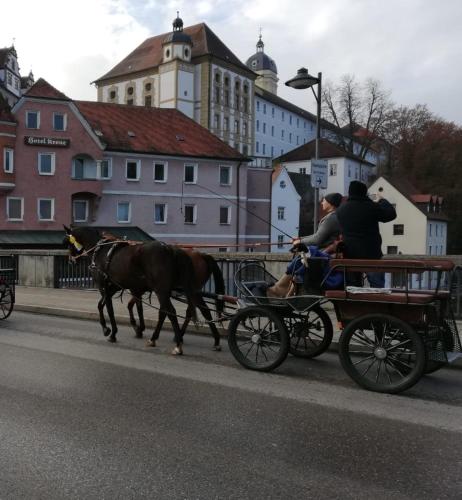 Ferienwohnung in Schernfeld