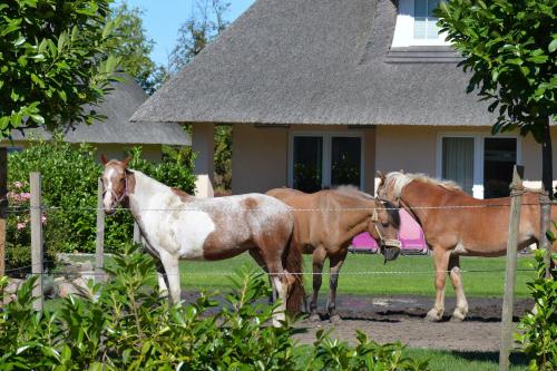 Holiday Home image 6