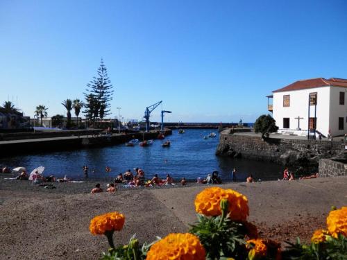 Cozy Studio Harbour View in Puerto de la Cruz - Tap to explore photos