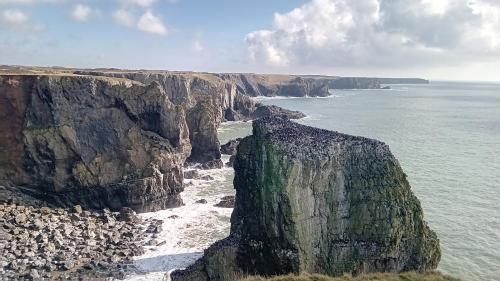 Castlemartin — Castlemartin