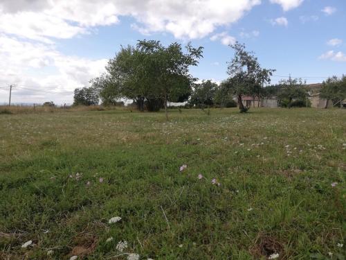 景觀, Petite maison à la campagne avec extérieur (Petite maison a la campagne avec exterieur) in 迪羅爾河畔聖雷米