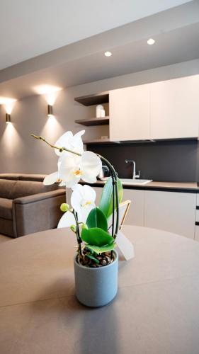 The Corner Bergamo Elegant Apartments