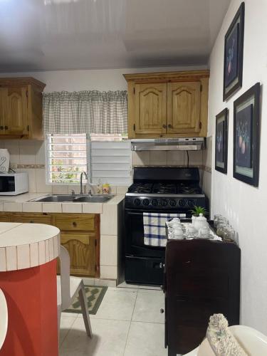 Kitchen, Nancy house in Moncion
