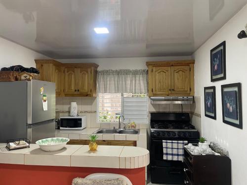 Kitchen, Nancy house in Moncion