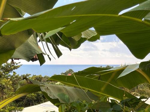 Les Jardins de Delgres in Trois-Rivieres