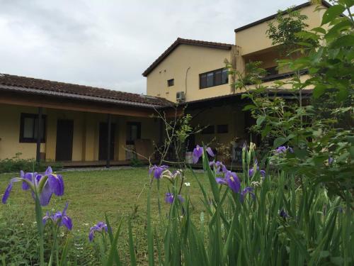 Exterior view, Bread tree house B&B in Guangfu Township