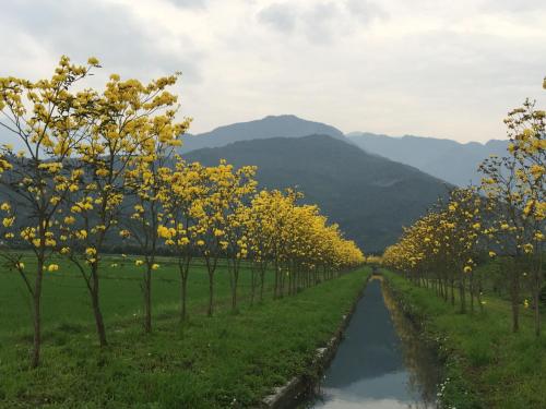 Bread tree house B&B - 주변 환경