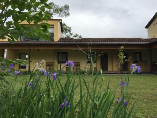 Exterior view, Bread tree house B&B in Guangfu Township