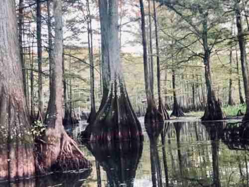 Lakefront Log Cabin On Emerald Isle With Hot Tub Lakefront Log Cabin On Emerald Isle With Hot Tub