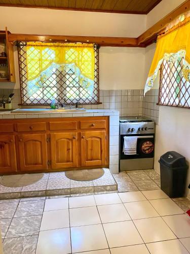 köök, Noel Beach View Villa in Port Antonio