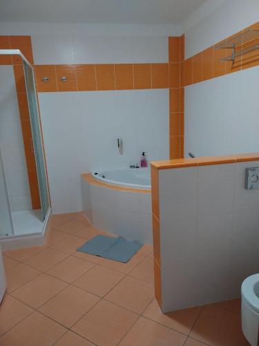 Ванна кімната, Wellness apartmán Frymburk D403 Čtvrté patro (Wellness apartman Frymburk D403 Ctvrte patro) in Фримбурк