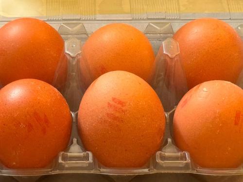 1Br 2pax 1car only Malaysian guest only 1Br 2pax 1car only Malaysian guest only