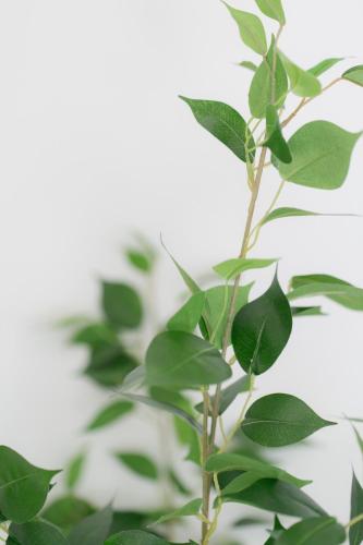 5B Guest House INFINITY 5B Guest House INFINITY