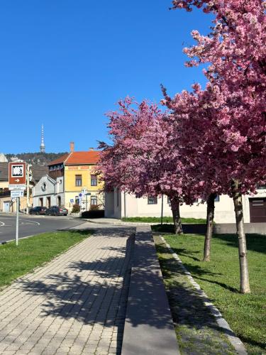 M18 - Csak egy lépés a történelmi belváros - free parking (M18 - Csak egy lepes a tortenelmi belvaros - free parking) in เตตเย