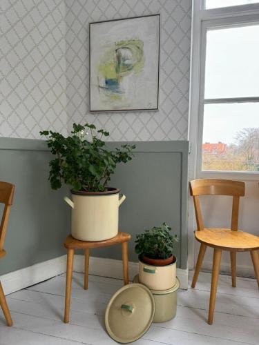 STF Landskrona Hostel – Landskrona, WV