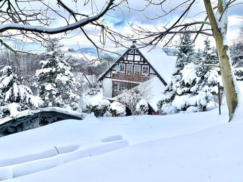 Ferienwohnung Dörnberg erleben mit Tiere bei Winterberg in Bestwig, Deutschland