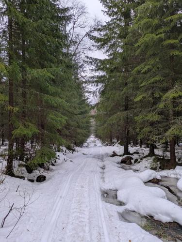 Charming Family-Friendly Villa in Lesjöfors