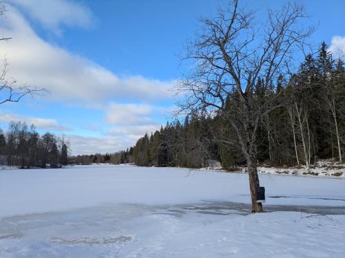 Charming Family-Friendly Villa in Lesjöfors