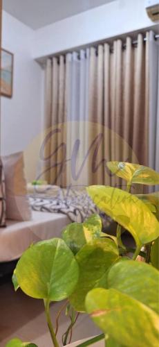10th Floor Facing Amenity, Manila (photo 2)