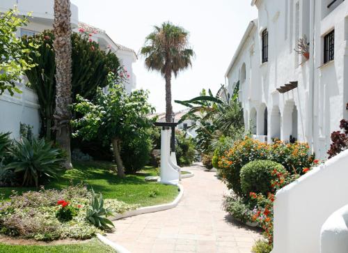 Albatros Playa Club - image 4