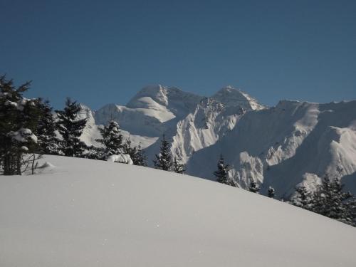 Ferienwohnung Plattner in Schmirn
