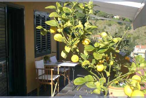 Double Room with View image 9