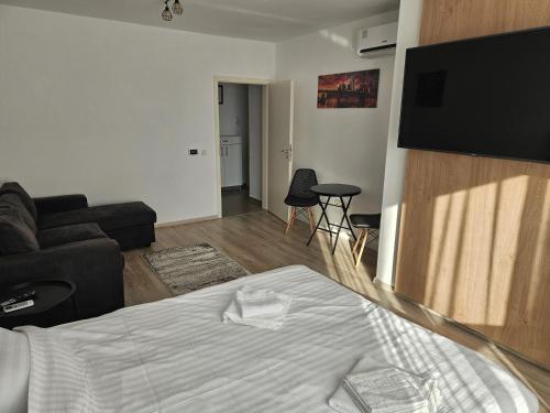 Garsoniera Studio 20, Braszów (zdjęcie 5)