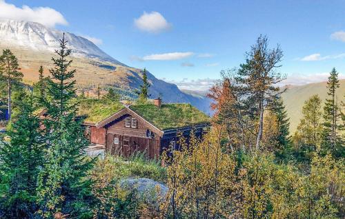 . Beautiful Home In Rjukan With Wifi