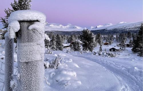 . Gorgeous Home In Kvam With Sauna