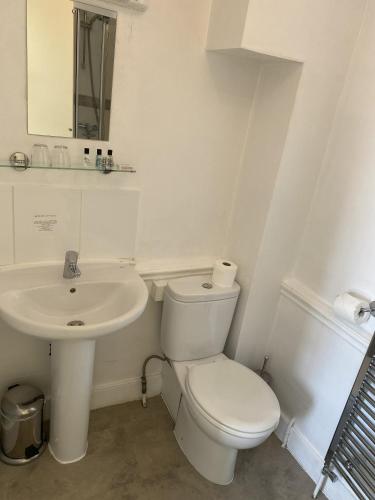 New Inn Hotel - image 13
