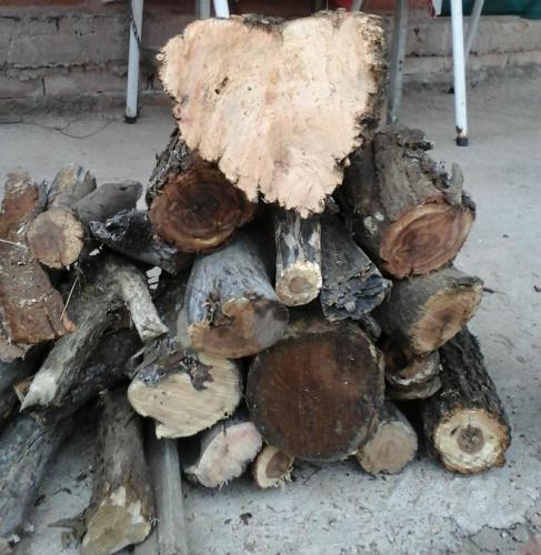 La CORZUELA Portal Energético