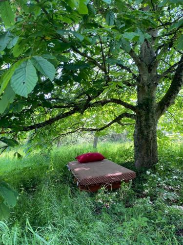 La Clémendière, un paradis caché La Clémendière, un paradis caché