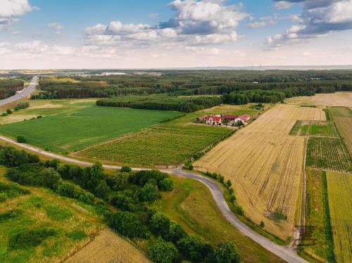 Winnica Mozów (Winnica Mozow) in Kalsk