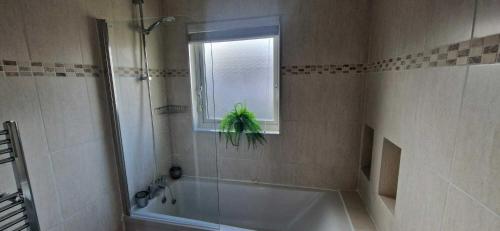 Refurbed Modern & Stylish 3BD - Garden Pets OK