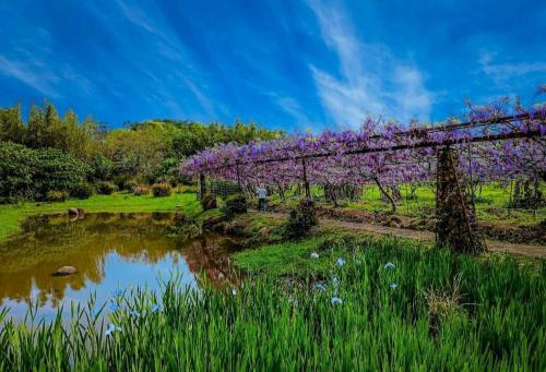타이베이 天空小品民宿 新北市認證魅力民宿 4성급 게스트하우스 부대시설