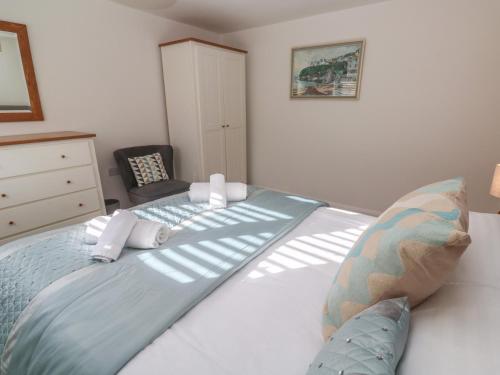 Kittiwake Cornwall - image 5